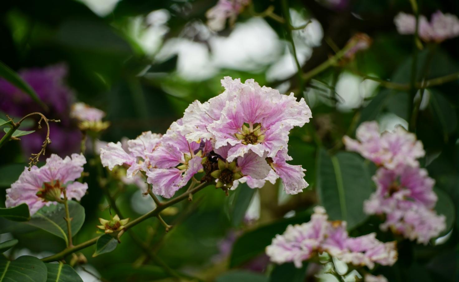 Свежие цветочные композиции на мероприятии