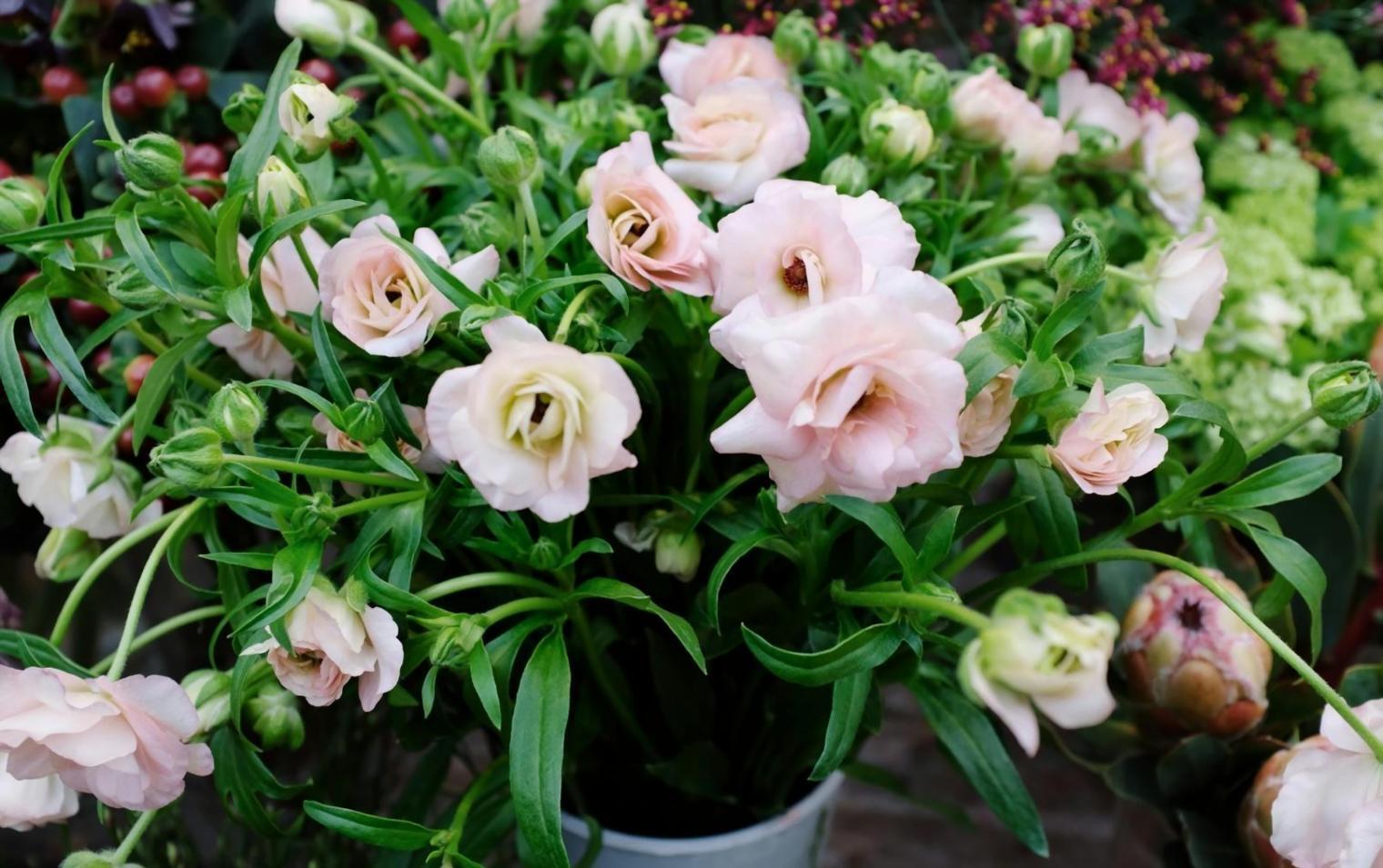 Готовое флористическое оформление на мероприятии с живыми цветами